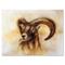 Designart - Portrait of Wild Ram With Mighty Horns I - Modern Canvas Wall Art Print